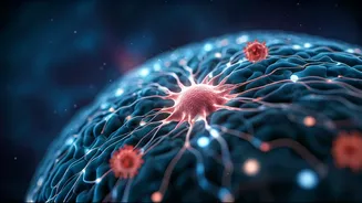 Unraveling the Brain's Switch: How Chronic Pain Leads to Depression