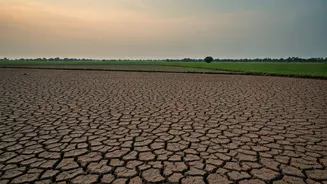 Rajasthan's Monsoon Delay Has Entered The Chat