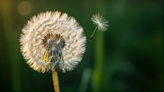 Unlock Present Peace: Seneca's Stoic Guide to Eliminating Fear and Regret