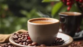 Up to 400mg of Caffeine Daily Is Generally Safe for Most Adults