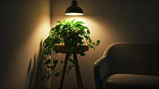 Soft Ambient Lamps And Devil Ivy Create Beautiful Reading Alcoves