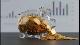 Unchanged Small-Savings Rates Is A Useful Case Study In Stable Returns With Long Lock-In Periods