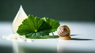 These K-Beauty Ingredients Are Filling Indian Beauty Shelves