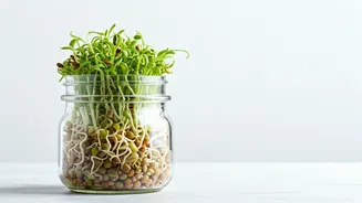 Smarter Sprouts