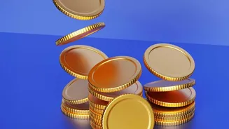 How Saving Digital Spare Change Automatically Builds A Passive Mutual Fund Portfolio Daily