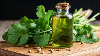 Stop Wasting Coriander and Try This Easy Oil Hack