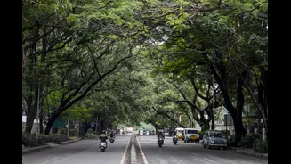 From Tech Hub To Travel Hotspot: Bengaluru Tops India’s Most Visited City In 2025