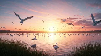 India's Avian Havens: 10 Lakes Teeming with Migratory Birds