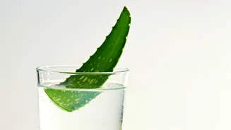 Aloe Vera & Coconut Water: Nature's Hydration Duo