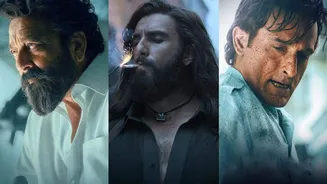 Related Stories banner