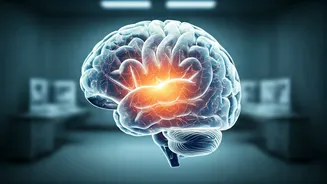 Related Stories banner