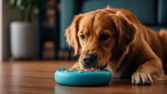 Peanut Butter Enrichment Toys Are Ultimate Boredom Busters Now