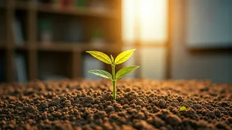 Beyond Grades: Educators' Guide to Building Exam Confidence and Nurturing Growth