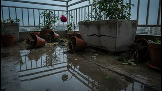 Monsoon Water Can Double the Practical Risks of Balcony Gardening