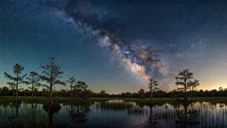Big Cypress National Preserve: Your Gateway to Astounding Nocturnal Adventures and Starry Skies