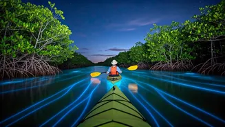 Andaman Beaches Are Perfect For Soft Adventure Souls