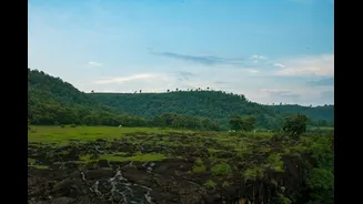 Maharashtra Faces Severe Drought; Gujarat Model Suggested for Relief