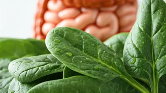 Spinach: Your Natural Gut Healer Unveiled!