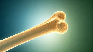 Beyond Menopause: Why Women Need to Prioritize Calcium From Their 20s