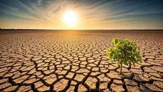 Heat And Water Stress Need Simple Context