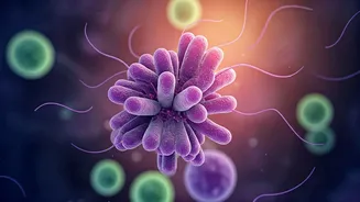 Why Gut-Friendly Eating Is Trending