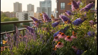 Turn Your Balcony Into A Butterfly-Friendly Corner