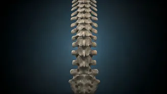 Beyond Exercise: Hidden Dangers of Prolonged Sitting for Your Health