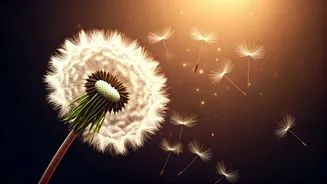 Related Stories banner