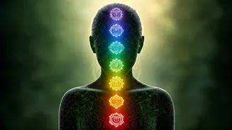 Unlocking Inner Peace: Understanding Your 7 Chakras for Stress & Anxiety Relief