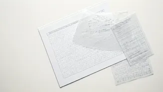 SEBA Assam 10th Result 2026: Your Guide to Scanned Answer Scripts & OMR Sheets