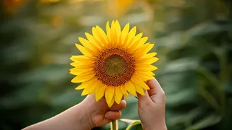 Nurturing Genuine Gratitude: Beyond 'Thank You' for Your Child's Well-being