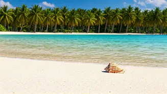 India's Coastal Gems: A Traveler's Guide to Top Beach Destinations