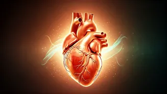 The Heart of Mindfulness: Embracing Life with Love, Clarity, and Compassion