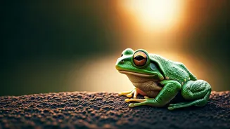 Optical Illusion Reveals Your Inner Traits: Frog, Horse, or Both?