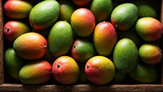 Why Lucknow Is Unapologetically The Mango Capital Of World