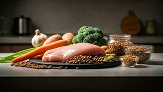 Why Young Indians Avoid Commercial Pet Foods For Wholesome Recipes