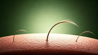 Scalp Health Holds The Key To Better Hair