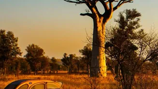 Four Lodge Areas Help Travellers Build a Multi-Stop Botswana Journey