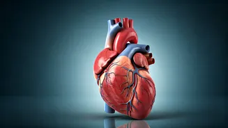 Heart Health: A Deep Dive into Well-being