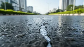 Bacteria Infused Concrete Tested On Urban Roads To Automatically Seal Potholes In Monsoons