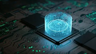 Understanding Website Security: Your Guide to Bot Protection and Verification