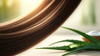 Related Stories banner