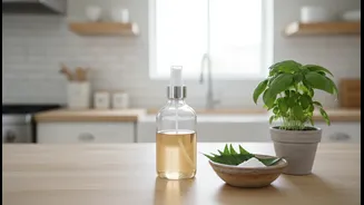 Low-Chemical Monsoon Cleaning Makes a Strong Case for Better Understanding of Vinegar, Neem and Baking Soda