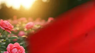 The Red Flag Reflex: Why We Obsess Over Flaws and Miss the Good in Relationships