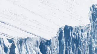 Why Petermann Glacier's Floating Tongue Matters to Inland Ice Flow