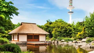Discover The Top Japanese City Parks Offering Scenic Views and Peaceful Retreats Daily