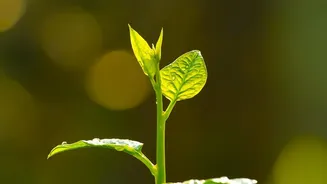 Starting In Your 20s: How Small Monthly Additions Grow Massive Portfolios Via Compounding