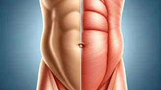 Soft vs. Hard Belly: A Gastroenterologist's Guide to Your Abdominal Health Signals