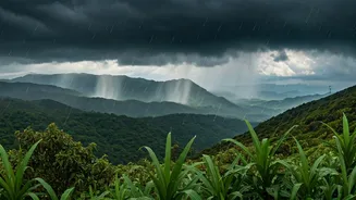 Monsoon Chaser Groups Chase Early Showers Across Western Ghats