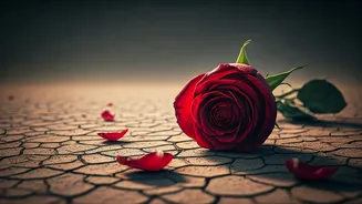 5 Unmistakable Signals That Your Marriage is Heading Towards Divorce